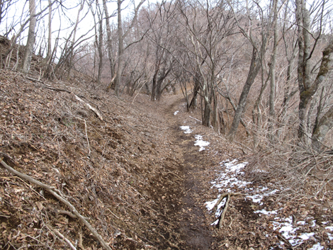 20181214hike (514)